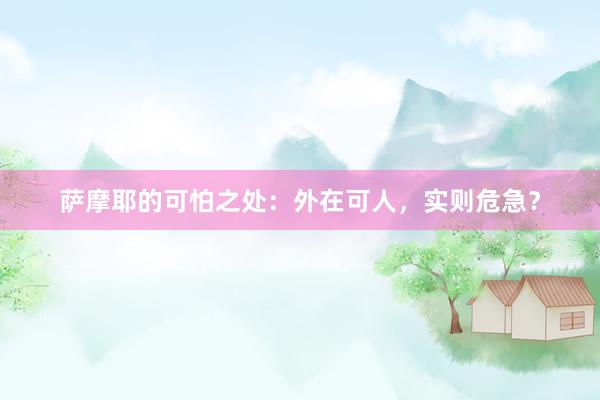 萨摩耶的可怕之处：外在可人，实则危急？