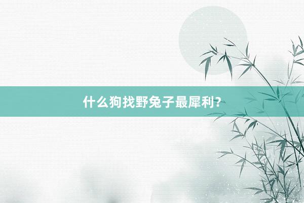 什么狗找野兔子最犀利？