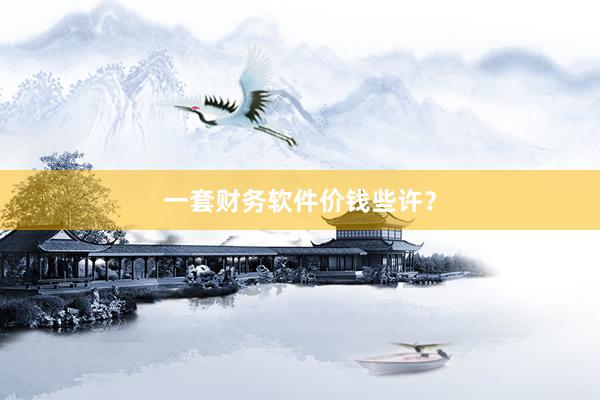 一套财务软件价钱些许？