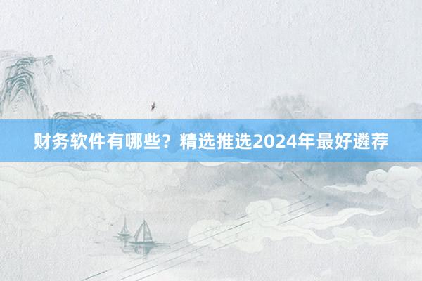 财务软件有哪些？精选推选2024年最好遴荐