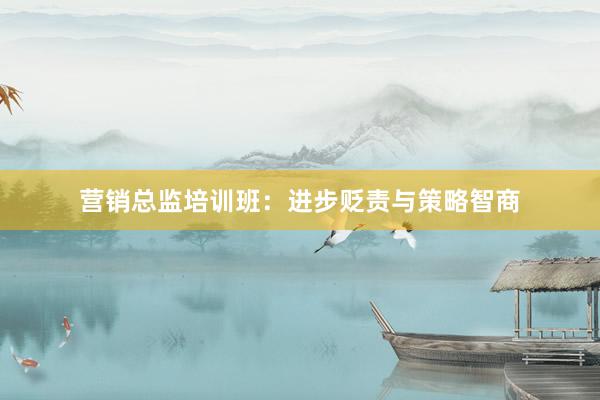 营销总监培训班:进步贬责与策略智商